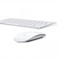 Mice & Keyboards
